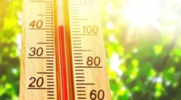 شبورة وأمطار.. الأرصاد تكشف عن تفاصيل طقس الأحد مع انخفاض درجات الحرارة الملحوظ